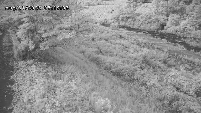 日野川１2025/08/31 9:10:00