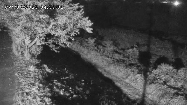 日野川12025/10/31 05:50