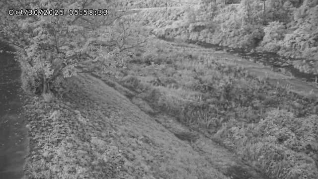 日野川12025/10/31 05:50