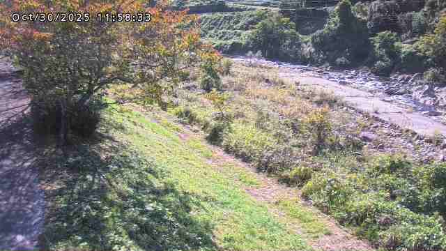 日野川12025/10/31 05:50