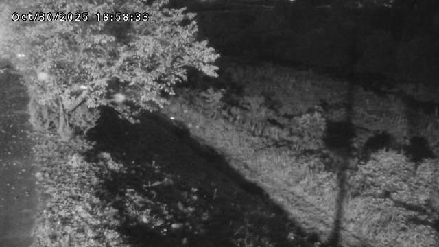 日野川12025/10/31 05:50