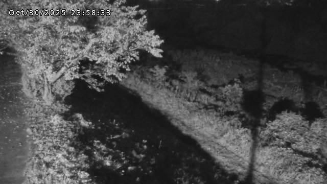 日野川12025/10/31 05:50