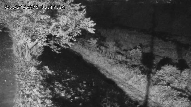 日野川12025/10/31 05:50