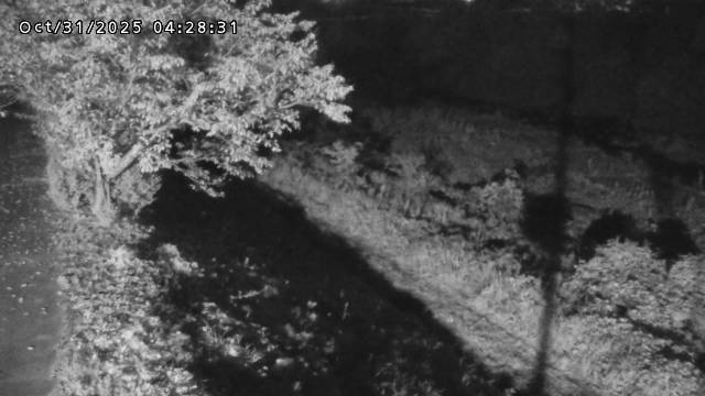 日野川12025/10/31 05:50