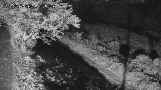 日野川12025/10/31 05:50