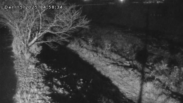 日野川１2025/12/16 5:20:00