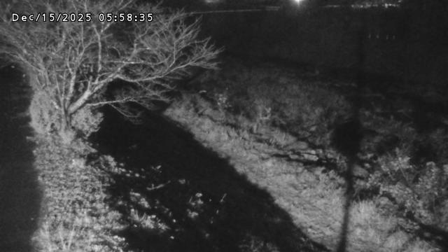 日野川１2025/12/16 5:20:00