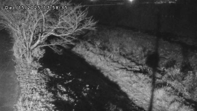 日野川１2025/12/16 5:20:00