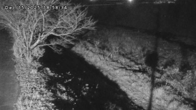 日野川１2025/12/16 5:20:00