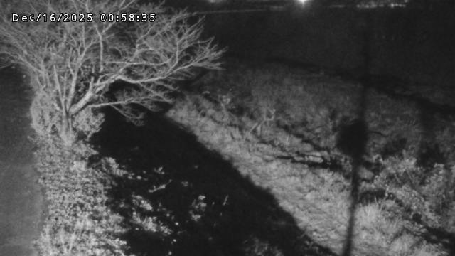 日野川１2025/12/16 5:20:00