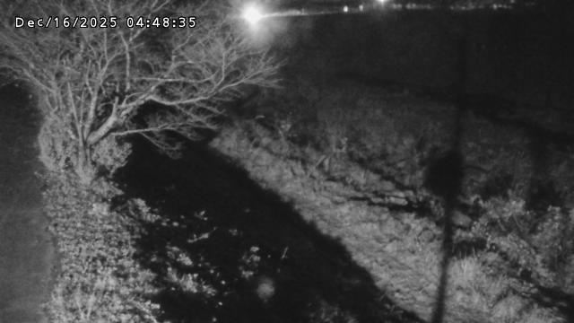 日野川１2025/12/16 5:20:00