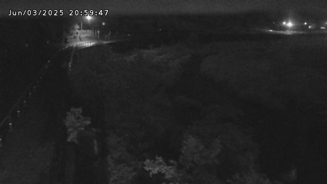 日野川５2025/06/04 3:10:00
