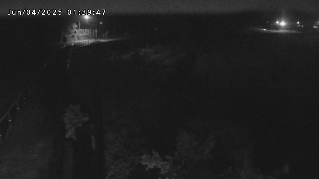 日野川５2025/06/04 3:10:00