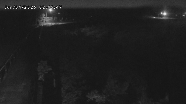 日野川５2025/06/04 3:10:00