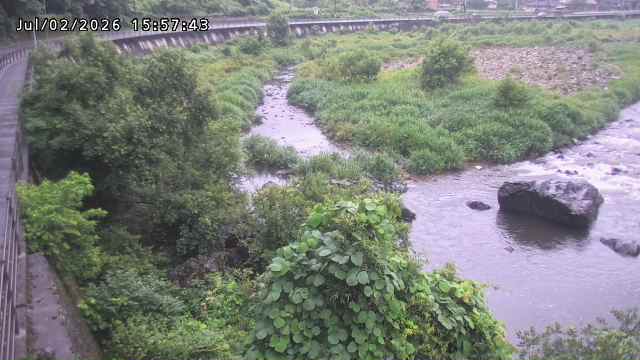 日野川５2026/07/03 9:30:00