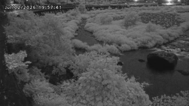 日野川５2026/07/03 9:30:00