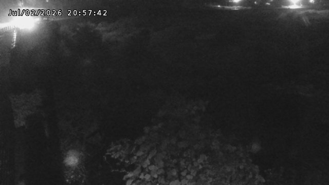 日野川５2026/07/03 9:30:00