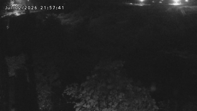 日野川５2026/07/03 9:30:00