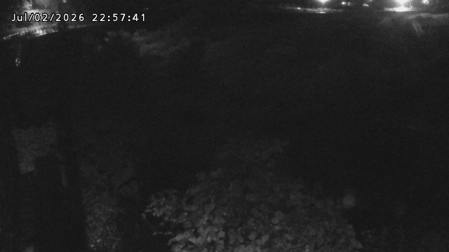 日野川５2026/07/03 9:30:00