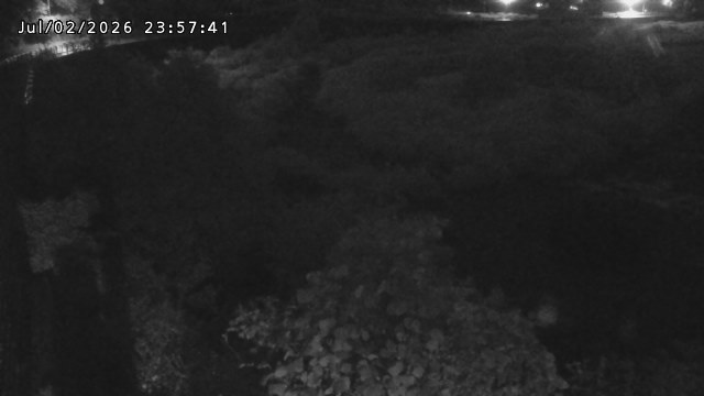日野川５2026/07/03 9:30:00
