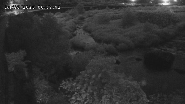 日野川５2026/07/03 9:30:00