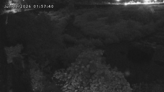 日野川５2026/07/03 9:30:00