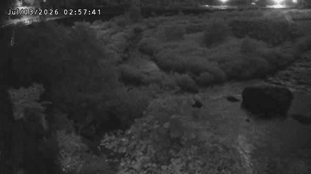 日野川５2026/07/03 9:30:00