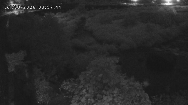 日野川５2026/07/03 9:30:00