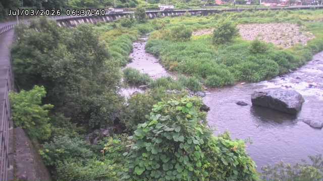 日野川５2026/07/03 9:30:00