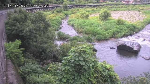 日野川５2026/07/03 9:30:00