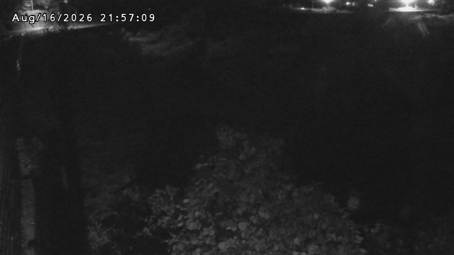 日野川５2026/08/17 21:00:00