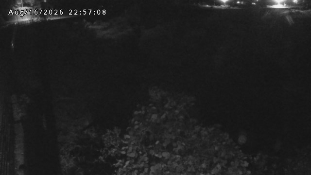 日野川５2026/08/17 21:00:00