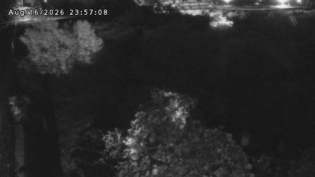 日野川５2026/08/17 21:00:00