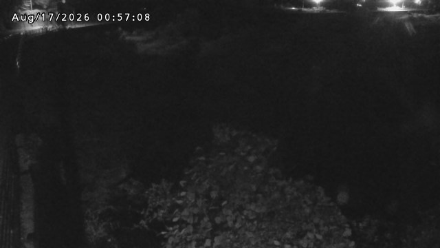 日野川５2026/08/17 21:00:00