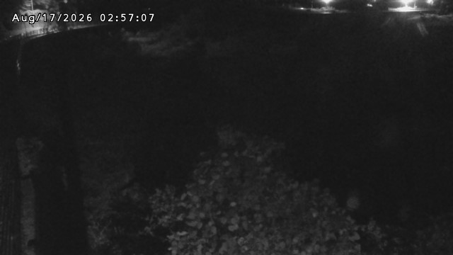 日野川５2026/08/17 21:00:00