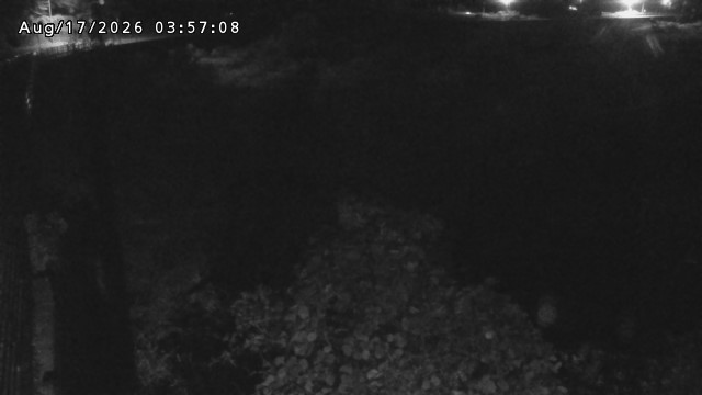 日野川５2026/08/17 21:00:00