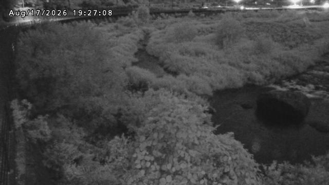 日野川５2026/08/17 21:00:00