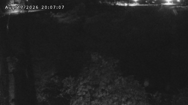 日野川５2026/08/17 21:00:00
