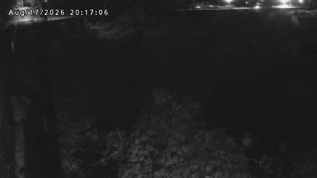 日野川５2026/08/17 21:00:00