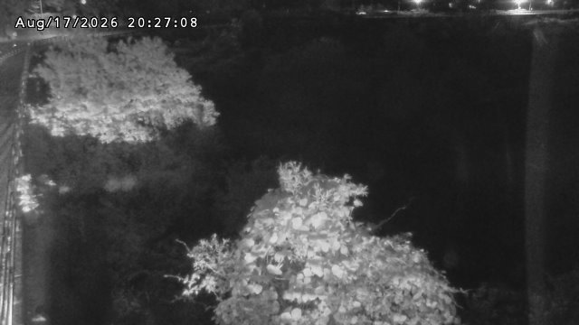 日野川５2026/08/17 21:00:00
