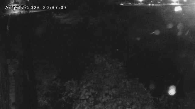 日野川５2026/08/17 21:00:00