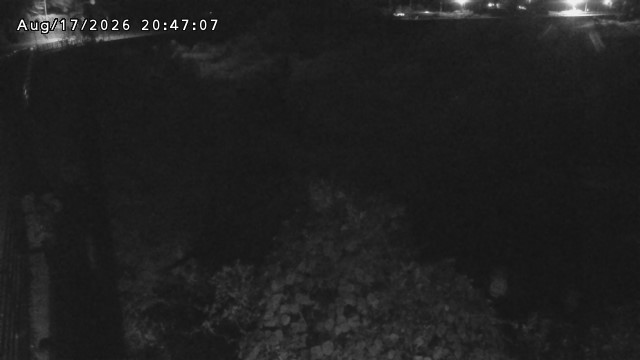 日野川５2026/08/17 21:00:00