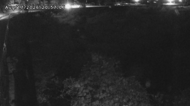 日野川５2026/08/17 21:00:00