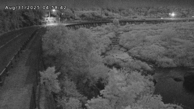 日野川５2025/08/31 9:10:00
