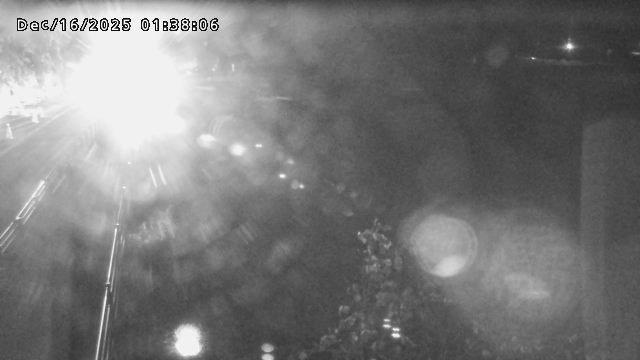 日野川５2025/12/16 5:10:00