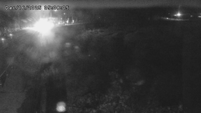 日野川５2025/12/16 5:10:00