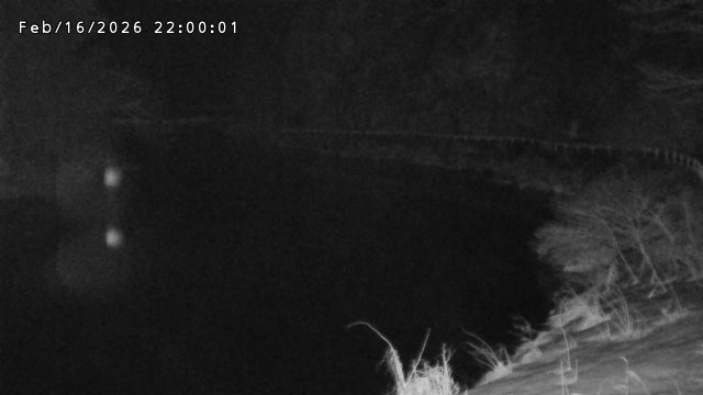 日野川７2026/02/17 16:40:00