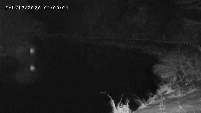 日野川７2026/02/17 16:40:00