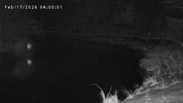 日野川７2026/02/17 16:40:00