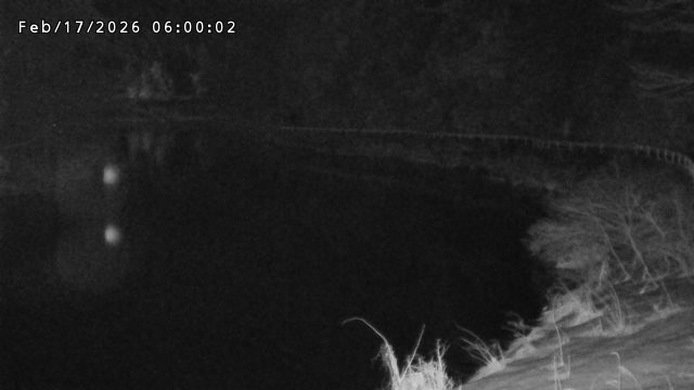 日野川７2026/02/17 16:40:00